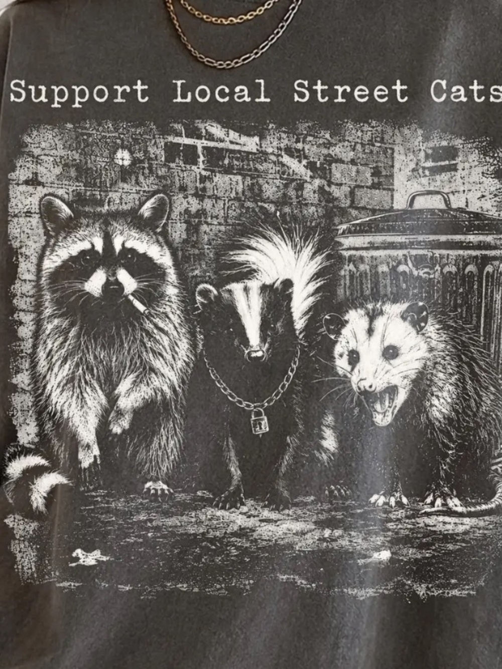 Comfort Colors Pepper Gray 'Support Local Street Cats' Graphic Tee
